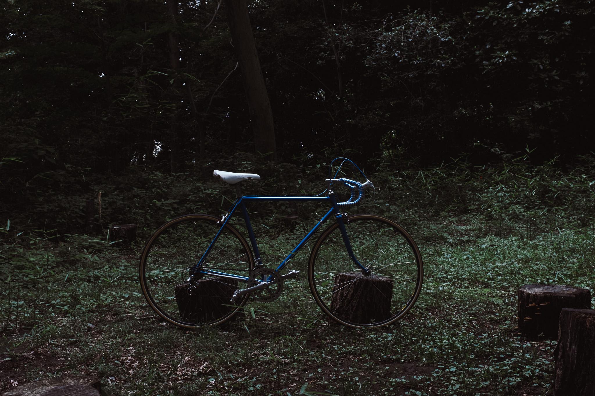 森の広場で切り株の間に置かれたメタリックブルーのクラシックロードバイク NOICYCLE 001 METALLIC BLUE STRIPES
