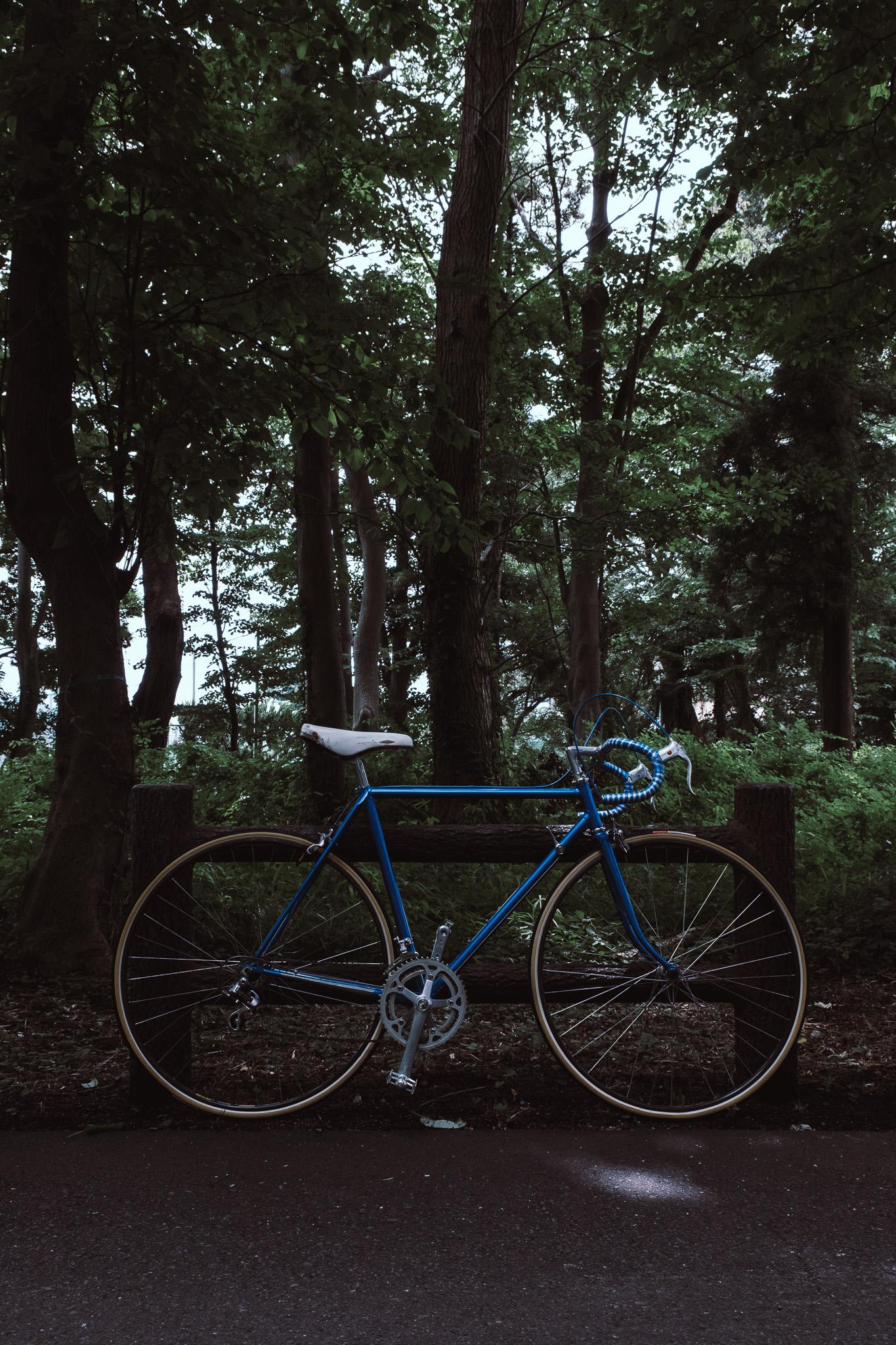 木々を背景に置かれたNOICYCLE 001 METALLIC BLUE STRIPESの縦構図写真